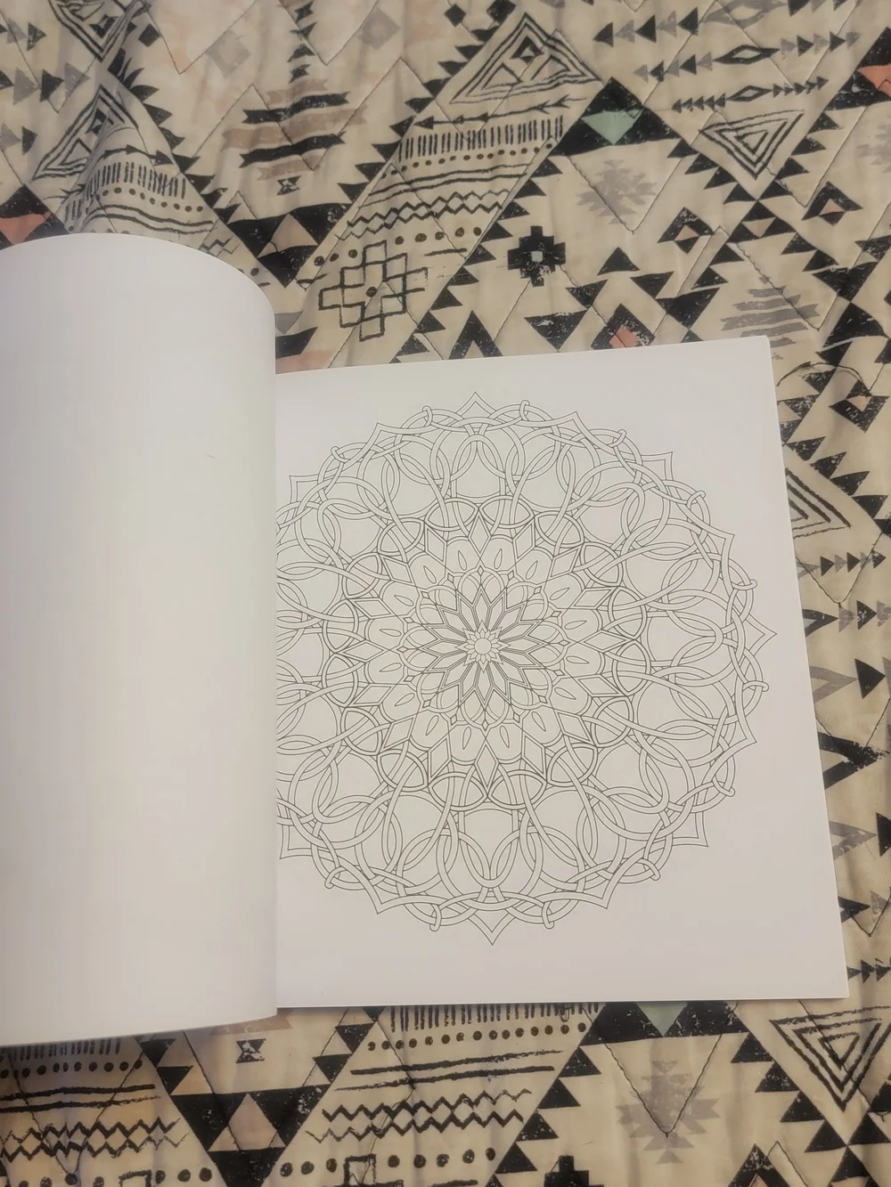 The Art of Mandala Adult Coloring Book by Jason Hamilton - Purple Cover